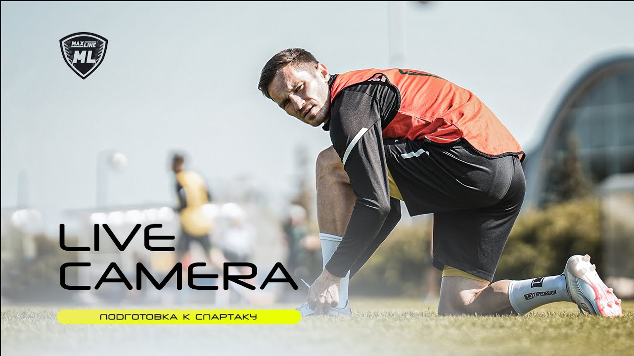 Воспроизведение