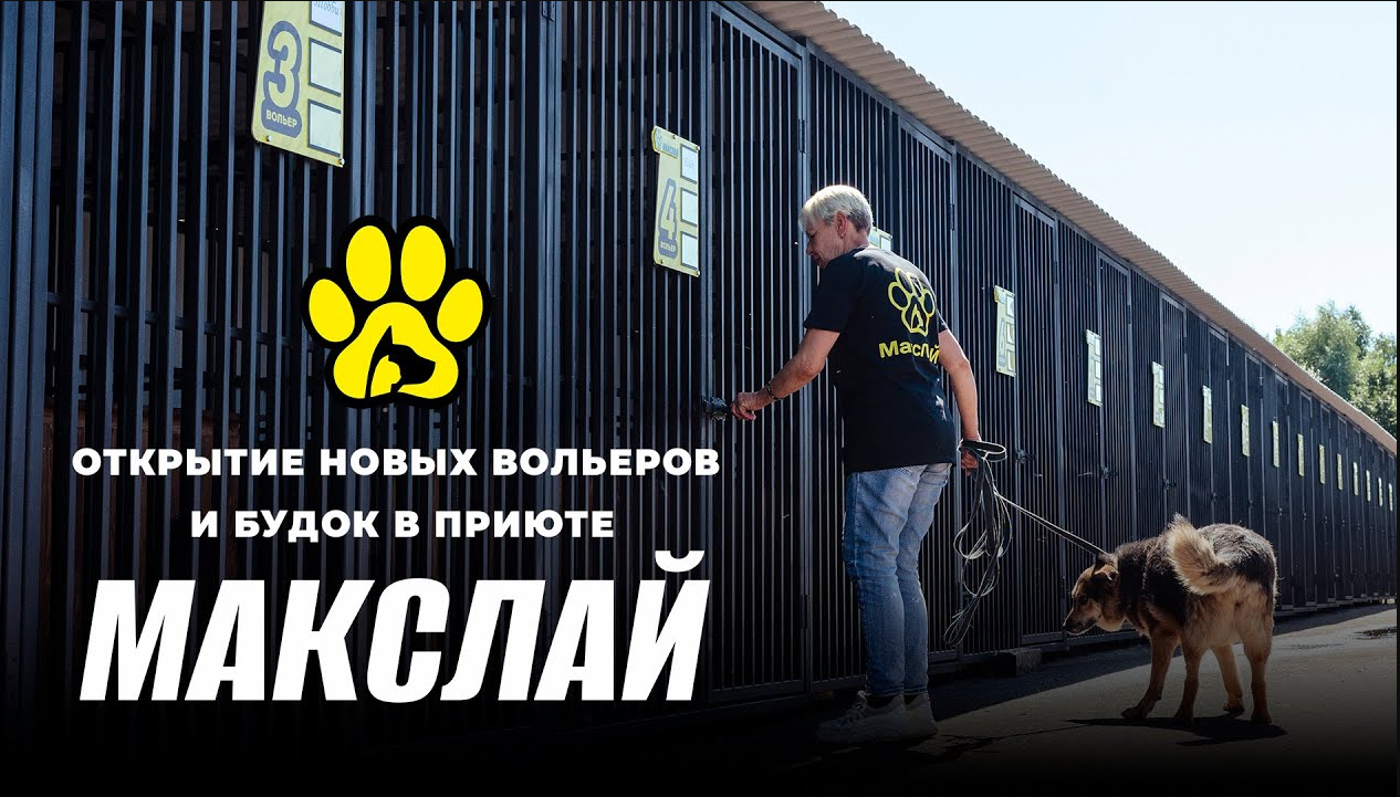 Воспроизведение