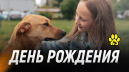 ДЕНЬ РОЖДЕНИЯ - 15 ЛЕТ - МАКСЛАЙ